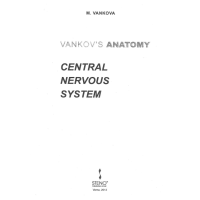 Central nervous system, M. Vankova 2012