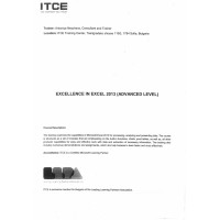 Excellence in Excel 2013 (ADVANCED LEVEL) Excellence in Excel 2013 (ADVANCED LEVEL)