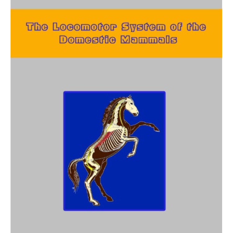 The Locomotor System of Domestic Mammals Part I