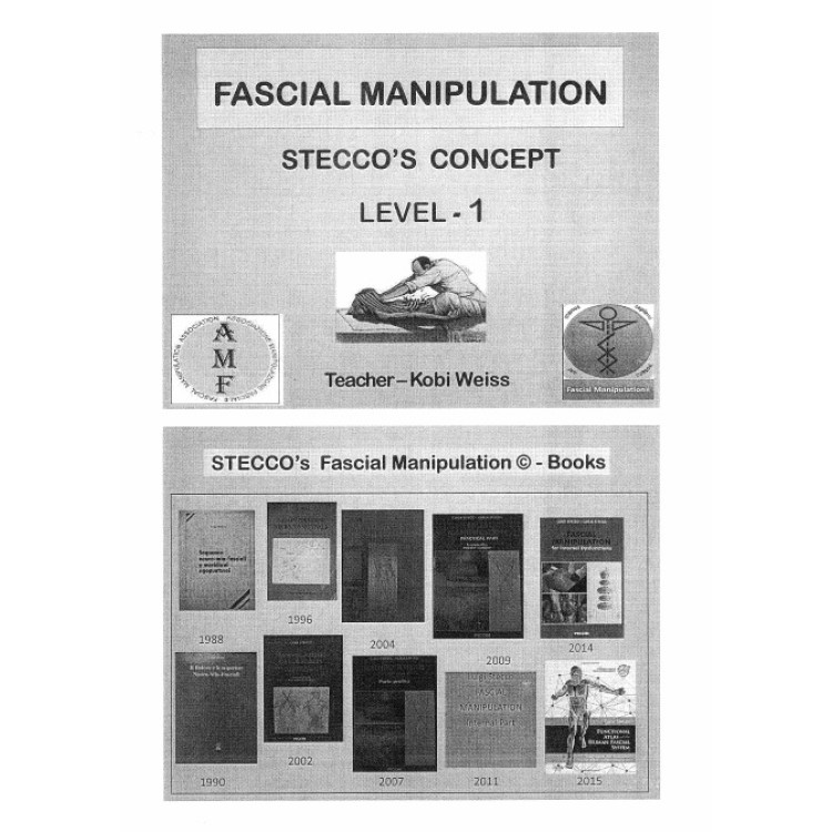 Fascial Manipulation Steccos Concept Level -1