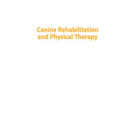 Canine Rehabilitation and Physical Therapy