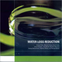 Water Loss Reduction, Bentley Water Loss Reduction, Bentley