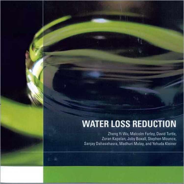 Water Loss Reduction, Bentley