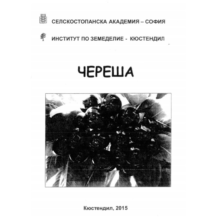 Череша, Кюстендил 2015г.