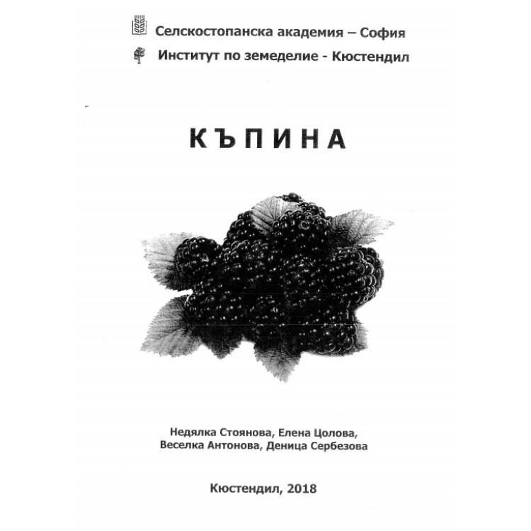 Къпина, Кюстендил 2018г.