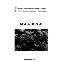 Малина, Кюстендил 2015г.