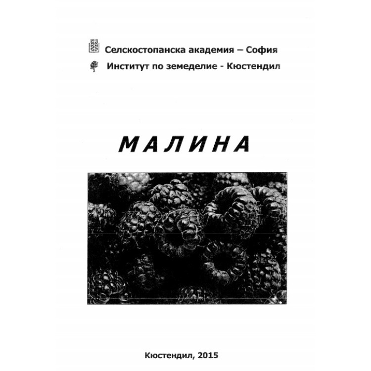Малина, Кюстендил 2015г.