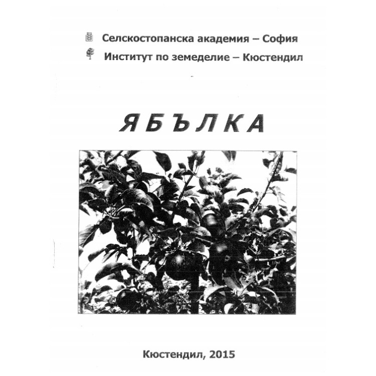 Ябълка, Кюстендил 2015г.