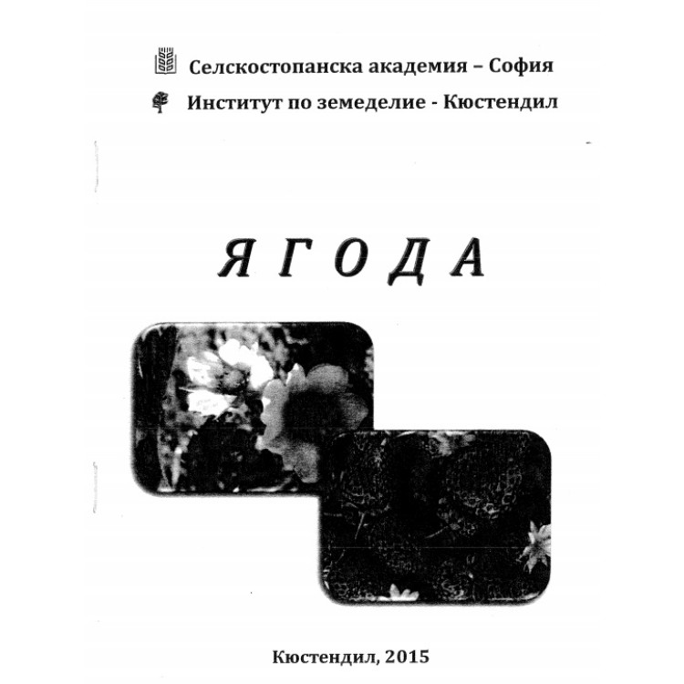 Ягода, Кюстендил 2015г.