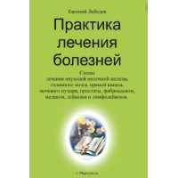 Практика лечения болезней, Евгений Лебедев Практика лечения болезней, Евгений Лебедев