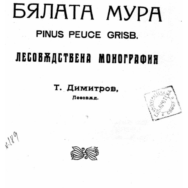 Бялата мура - Димитров 1992г
