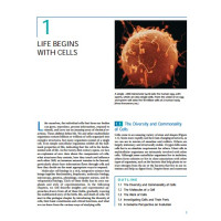 Molecular Cell Biology (2008, W. H. Freeman) - Harvey Lodish, Arnold Berk, Paul Matsudaira, Chris A. Kaiser, Monty Krieger, Matthew P. Scott, Lawrence Zipursky, James Darnell Molecular Cell Biology (2008, W. H. Freeman) - Harvey Lodish, Arnold Berk, Paul Matsudaira, Chris A. Kaiser, Monty Krieger, Matthew P. Scott, Lawrence Zipursky, James Darnell