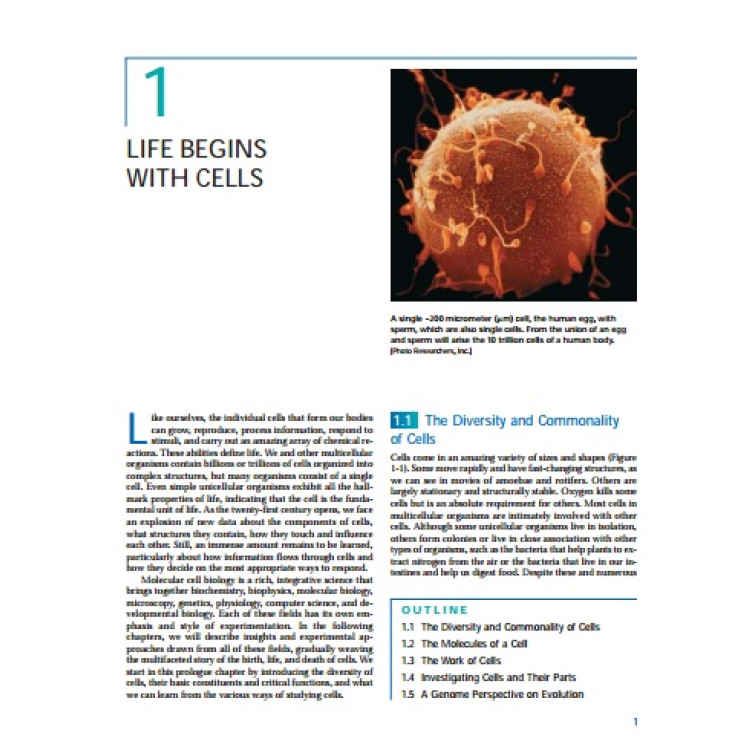 Molecular Cell Biology (2008, W. H. Freeman) - Harvey Lodish, Arnold Berk, Paul Matsudaira, Chris A. Kaiser, Monty Krieger, Matthew P. Scott, Lawrence Zipursky, James Darnell