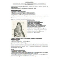 Пародонт учебник Parodont all Пародонт учебник Parodont all