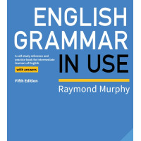 English Grammar in Use Intermediate 2019 5th edition
