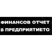 Финансов отчет в предприятието Колева