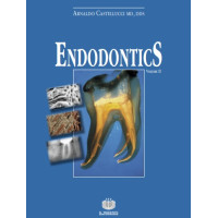 Endodontics Arnaldo Castellucci vol. 2 Endodontics Arnaldo Castellucci vol. 2