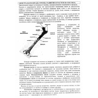 Костта като орган