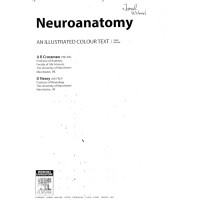 Neuroanatomy an illustrated textbook