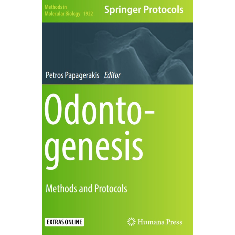 ODONTOGENESIS 2019
