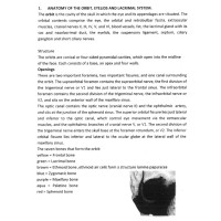Ophthalmology notes dental students Ophthalmology notes dental students
