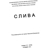 Слива 2012 Джувинов Слива 2012 Джувинов