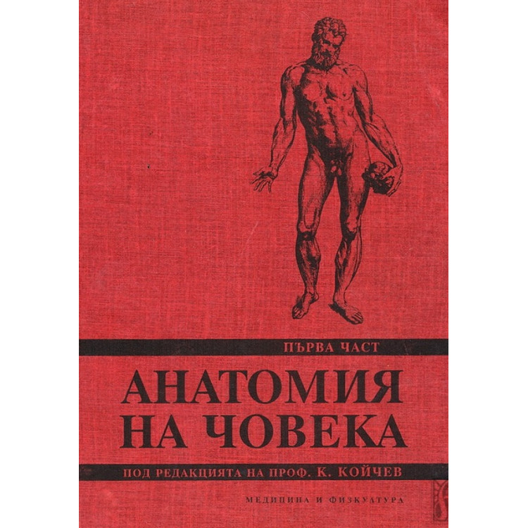 Анатомия на човека I част, Койчев