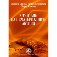 Отчитане на нематериални активи Башева 2012