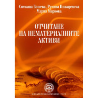 Отчитане на нематериални активи  -  Башева  2012