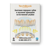 Анатомия передних зубов и изучение принципов естественной ульбки Анатомия передних зубов и изучение принципов естественной ульбки