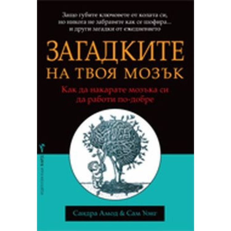 Загадките на твоя мозък