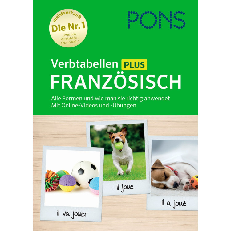 Grammatik in Bildern Deutsch als Fremdsprache-PONS