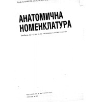 Анатомична номенклатура