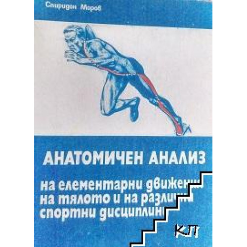 Анатомичен анализ на елементарни движения на тялото и при различни спортни дисциплини Анатомичен анализ на елементарни движения на тялото и при различни спортни дисциплини