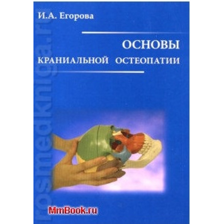 Основь краниальной остеопатии