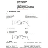 Съкратени теми (Паразитология) Съкратени теми (Паразитология)