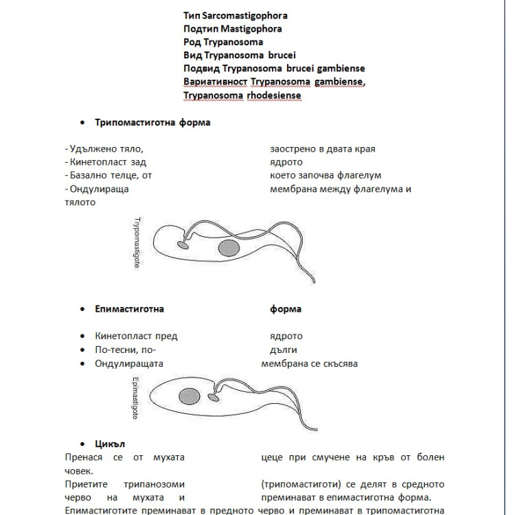 Съкратени теми (Паразитология)