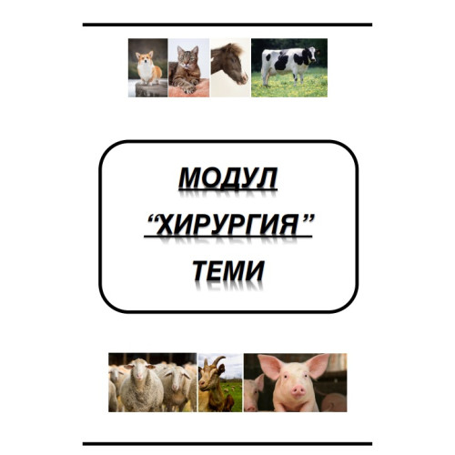 Лесо Модул Хирургия теми
