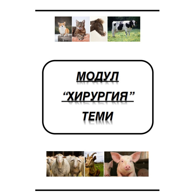 Лесо Модул Хирургия теми
