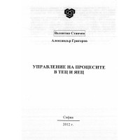 Управление на процесите в тец и яец