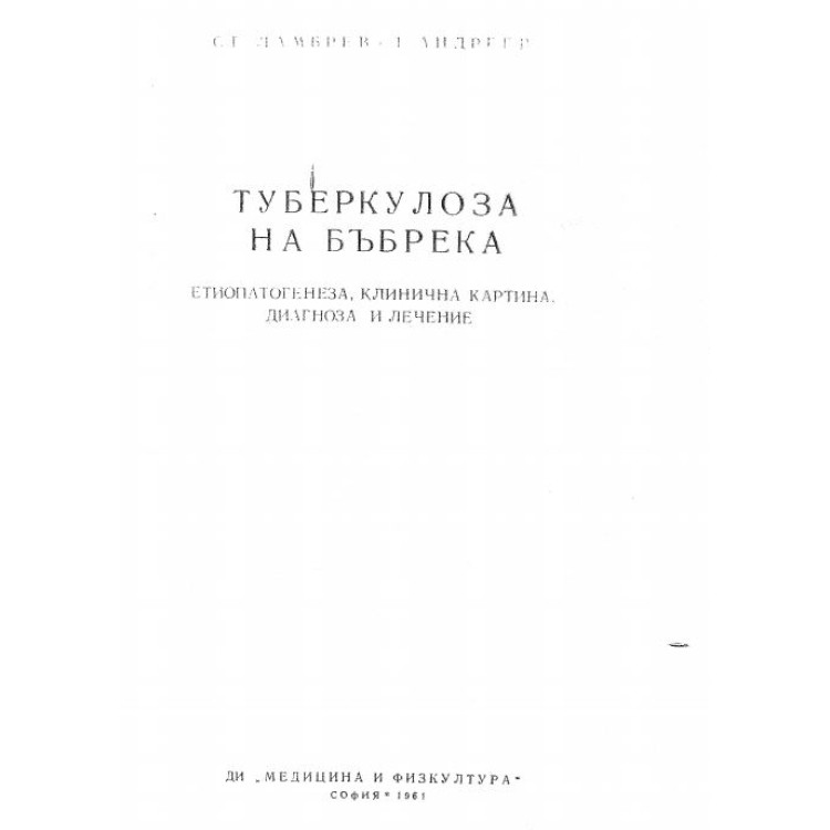 Туберколоза на бъбрека