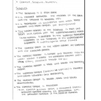 Теми на английски Scapula Claviae Humerus 1000стр Bones