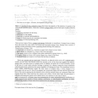 The bones теми 250стр The bone as an organ The bones теми 250стр The bone as an organ