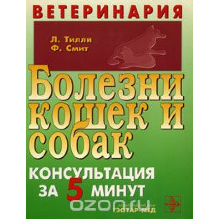 Ветеринария Болезни кошек и собак, Тилли