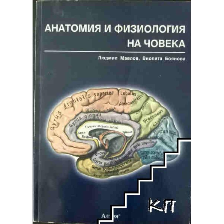Анатомия и физиология на човека, Мавлов 2007г.