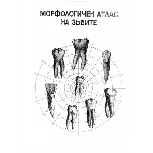Морфологичен атлас на зъбите Морфологичен атлас на зъбите