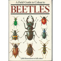 Beetles Harde