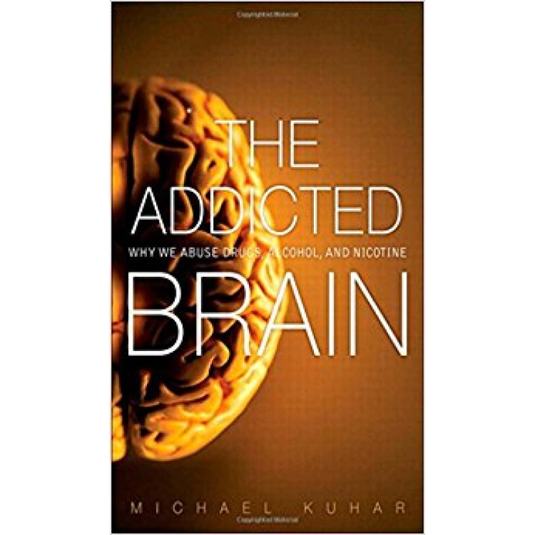 FT.Press.The.Addicted.Brain.Nov.2011