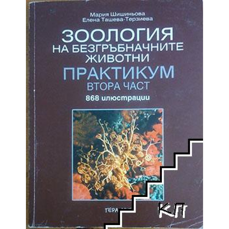 Зоология на безгръбначните животни втора част, Шишиньова