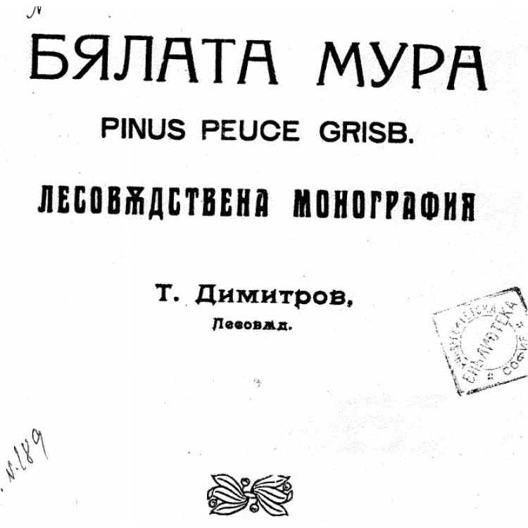 Бялата мура - Димитров 1992г